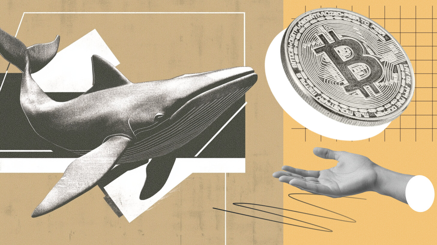 Bitcoin has always been associated with volatility. Large drawdowns have been part of the asset’s history since its earliest trading days, often followed by strong recoveries that reinforced its long-term growth narrative. For many investors, these cycles became an accepted feature of digital asset markets. Recent market corrections, however, are prompting a deeper reassessment of […]