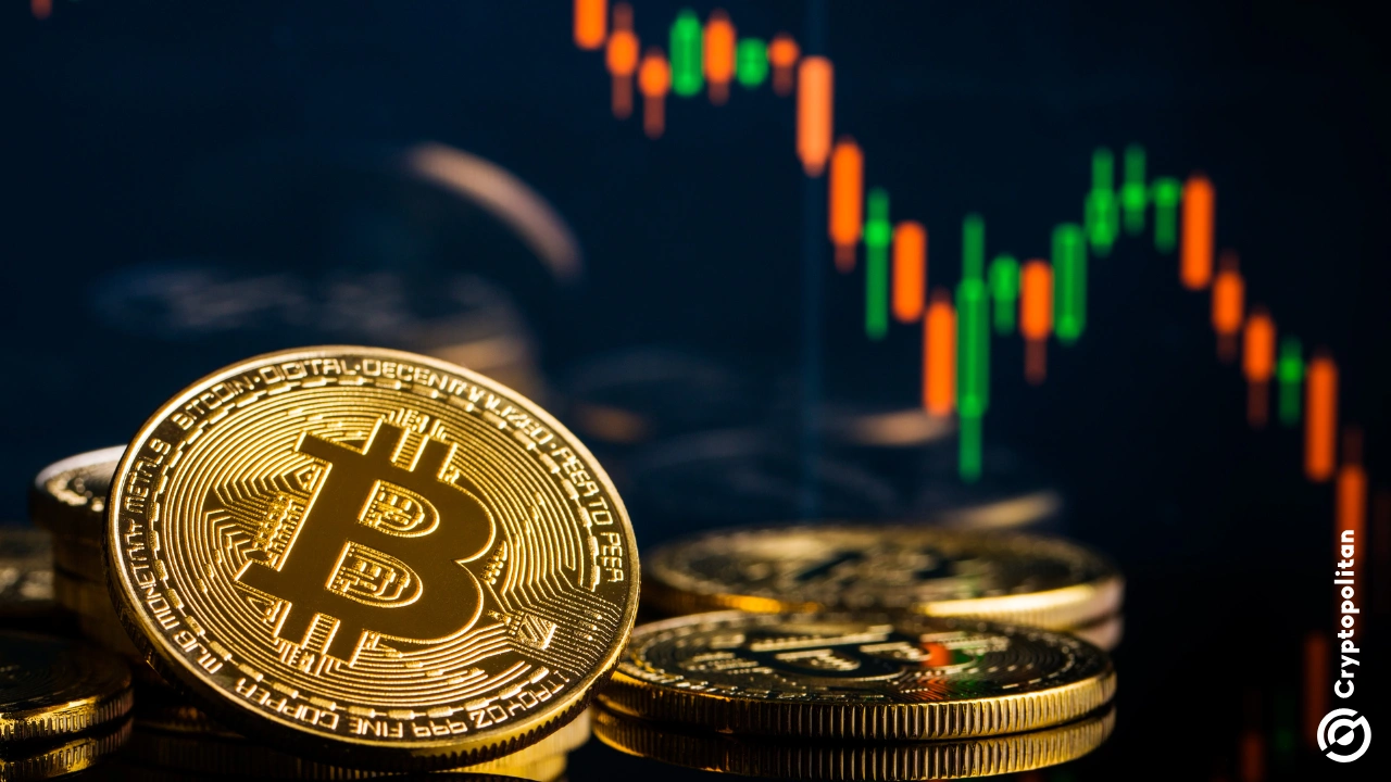 Die Stablecoin-Reserven Binance sind in den letzten drei Monaten rückläufig und sanken von 43,6 Milliarden US-Dollar auf 36 Milliarden US-Dollar. Allein im Februar flossen Stablecoins im Wert von über 3 Milliarden US-Dollar aus dem Markt ab.