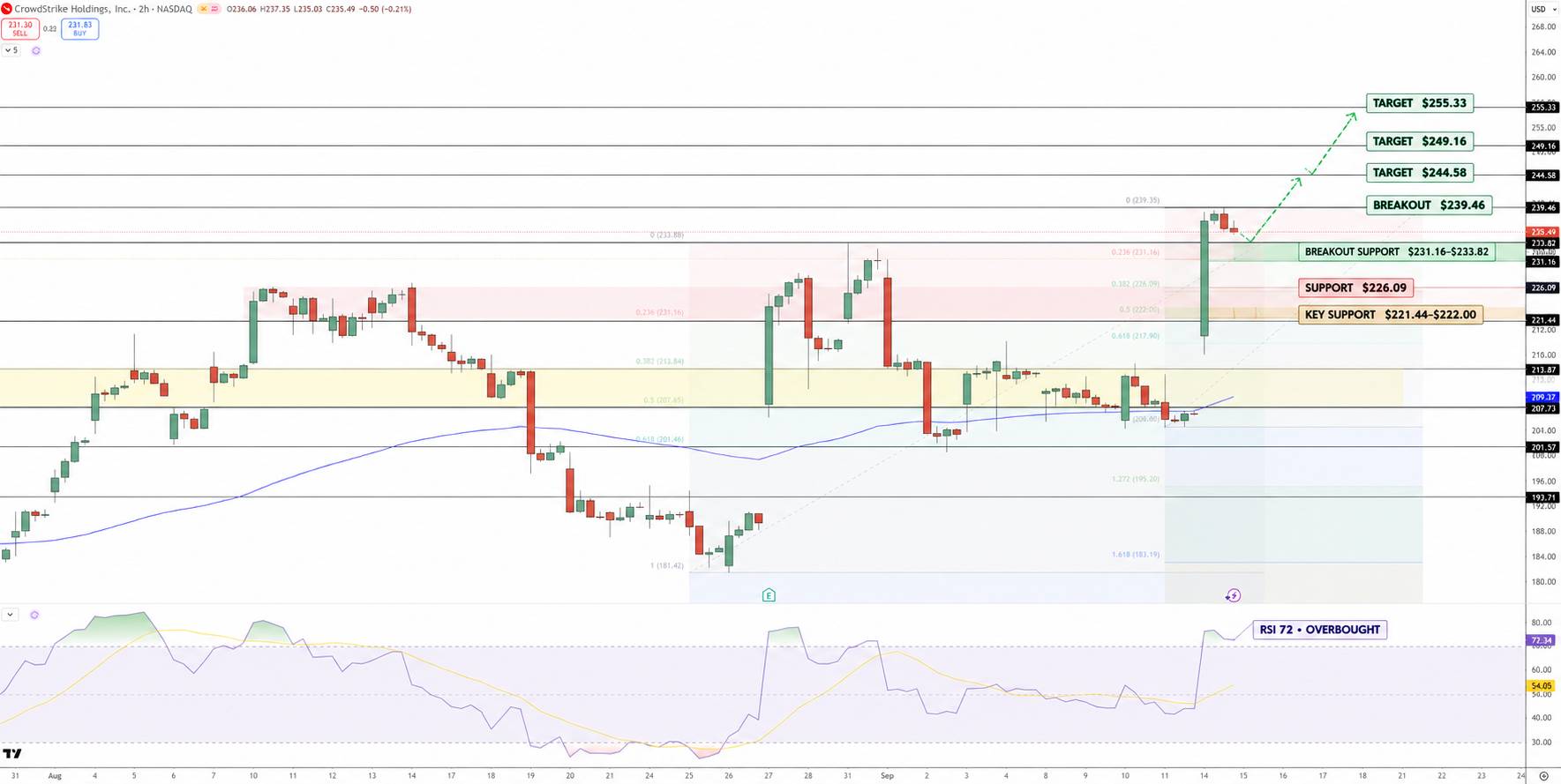 CrowdStrike Stock Price Chart - Source: Tradingview